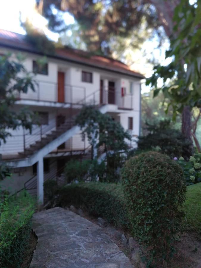 El Mirador De Bacha Apartment San Martín de Valdeiglesias Exterior foto